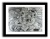 framed-_caller_number_ten
